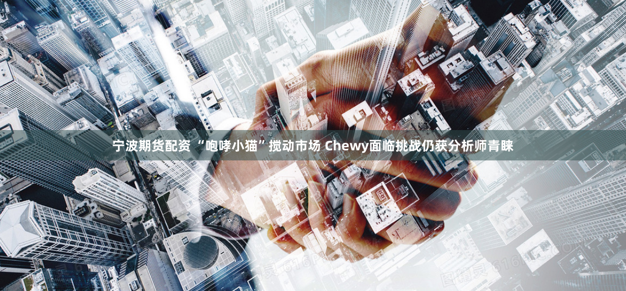 宁波期货配资 “咆哮小猫”搅动市场 Chewy面临挑战仍获分析师青睐